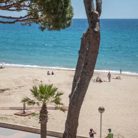 Apartment Tarracohomes, With Terrace In *